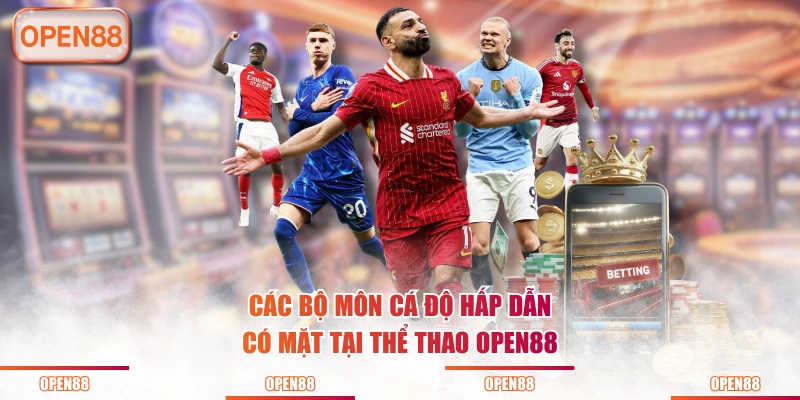 Các bộ môn cá độ hấp dẫn có mặt tại thể thao OPEN88